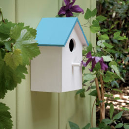 une petite cabane à oiseaux est accrochée au mur extérieur d'une maison grâce à des languettes Command de 3M. Une vigne vierge court le long du mur. La maisonnette ets blache avecun toit bleue.